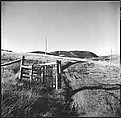 [36 Views of Fence and Path Leading to Robert Frank's House, Nova Scotia], Walker Evans (American, St. Louis, Missouri 1903–1975 New Haven, Connecticut), Film negative