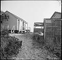[24 Exterior Views of Beach Cabins, Nova Scotia], Walker Evans (American, St. Louis, Missouri 1903–1975 New Haven, Connecticut), Film negative