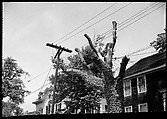 [10 Views of a Victorian House, Old Mystic, Connecticut and the Fuller House, Stonington, Connecticut], Walker Evans (American, St. Louis, Missouri 1903–1975 New Haven, Connecticut), Film negative