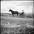 [132 Interior and Exterior Views of the Barnes House, Colorado and Campus of the University of California, Santa Cruz], Walker Evans (American, St. Louis, Missouri 1903–1975 New Haven, Connecticut), Film negative