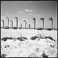 [31 Views of Seaside, Architecture, and Signs, Anna Maria, Florida], Walker Evans (American, St. Louis, Missouri 1903–1975 New Haven, Connecticut), Film negative
