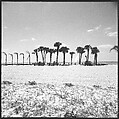 [31 Views of Seaside, Architecture, and Signs, Anna Maria, Florida], Walker Evans (American, St. Louis, Missouri 1903–1975 New Haven, Connecticut), Film negative