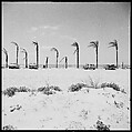 [31 Views of Seaside, Architecture, and Signs, Anna Maria, Florida], Walker Evans (American, St. Louis, Missouri 1903–1975 New Haven, Connecticut), Film negative