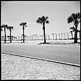 [31 Views of Seaside, Architecture, and Signs, Anna Maria, Florida], Walker Evans (American, St. Louis, Missouri 1903–1975 New Haven, Connecticut), Film negative