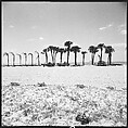 [31 Views of Seaside, Architecture, and Signs, Anna Maria, Florida], Walker Evans (American, St. Louis, Missouri 1903–1975 New Haven, Connecticut), Film negative