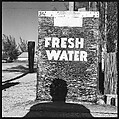 [31 Views of Seaside, Architecture, and Signs, Anna Maria, Florida], Walker Evans (American, St. Louis, Missouri 1903–1975 New Haven, Connecticut), Film negative