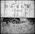 [31 Views of Seaside, Architecture, and Signs, Anna Maria, Florida], Walker Evans (American, St. Louis, Missouri 1903–1975 New Haven, Connecticut), Film negative
