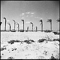 [31 Views of Seaside, Architecture, and Signs, Anna Maria, Florida], Walker Evans (American, St. Louis, Missouri 1903–1975 New Haven, Connecticut), Film negative