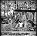 [9 Views of Abandoned Cars in "Auto Graveyard," Old Lyme, Connecticut], Walker Evans (American, St. Louis, Missouri 1903–1975 New Haven, Connecticut), Film negative