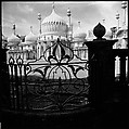 [234 Scenes from Trip to England: Redcliffe Square, London; Portraits of Caroline Blackwood; Country House of Robert Lowell and Caroline Blackwood, Kent; Portraits of Lady Xandra Gowrie; Brighton Pier; Framework Houses], Walker Evans (American, St. Louis, Missouri 1903–1975 New Haven, Connecticut), Film negative