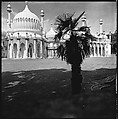 [234 Scenes from Trip to England: Redcliffe Square, London; Portraits of Caroline Blackwood; Country House of Robert Lowell and Caroline Blackwood, Kent; Portraits of Lady Xandra Gowrie; Brighton Pier; Framework Houses], Walker Evans (American, St. Louis, Missouri 1903–1975 New Haven, Connecticut), Film negative