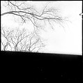 [12 Views of Walker Evans's Studio and Nudes of Unidentified Woman, Old Lyme, Connecticut], Walker Evans (American, St. Louis, Missouri 1903–1975 New Haven, Connecticut), Film negative