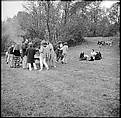 [24 Views of Yale School of Art Barbecue], Walker Evans (American, St. Louis, Missouri 1903–1975 New Haven, Connecticut), Film negative