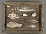 [Assemblage on Wood Base with Driftwood, Feathers, Stones, and Shells], Walker Evans  American, Collage