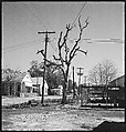 [16 Views of Fishing Shack, Biloxi, Mississippi], Walker Evans (American, St. Louis, Missouri 1903–1975 New Haven, Connecticut), Film negative