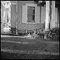 [36 Interior and Exterior Views of the Maynard House], Walker Evans (American, St. Louis, Missouri 1903–1975 New Haven, Connecticut), Film negative