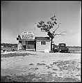 [7 Views of Boat Livery Shack, Maryland], Walker Evans (American, St. Louis, Missouri 1903–1975 New Haven, Connecticut), Film negative