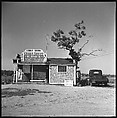 [7 Views of Boat Livery Shack, Maryland], Walker Evans (American, St. Louis, Missouri 1903–1975 New Haven, Connecticut), Film negative