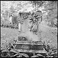 [12 Views of Church and Graveyard, Grafton and New Fane, Vermont], Walker Evans (American, St. Louis, Missouri 1903–1975 New Haven, Connecticut), Film negative