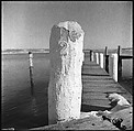 [12 Views of Barn and Dock Pilings], Walker Evans (American, St. Louis, Missouri 1903–1975 New Haven, Connecticut), Film negative