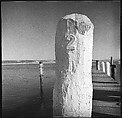 [12 Views of Barn and Dock Pilings], Walker Evans (American, St. Louis, Missouri 1903–1975 New Haven, Connecticut), Film negative