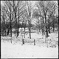 [30 Views of Roadside Architecture, Signs, Mennonite Horse and Carriage, Allensville, Kentucky (and Vicinity)], Walker Evans (American, St. Louis, Missouri 1903–1975 New Haven, Connecticut), Film negative