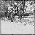 [30 Views of Roadside Architecture, Signs, Mennonite Horse and Carriage, Allensville, Kentucky (and Vicinity)], Walker Evans (American, St. Louis, Missouri 1903–1975 New Haven, Connecticut), Film negative