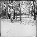 [30 Views of Roadside Architecture, Signs, Mennonite Horse and Carriage, Allensville, Kentucky (and Vicinity)], Walker Evans (American, St. Louis, Missouri 1903–1975 New Haven, Connecticut), Film negative
