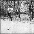 [30 Views of Roadside Architecture, Signs, Mennonite Horse and Carriage, Allensville, Kentucky (and Vicinity)], Walker Evans (American, St. Louis, Missouri 1903–1975 New Haven, Connecticut), Film negative