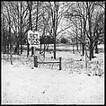 [30 Views of Roadside Architecture, Signs, Mennonite Horse and Carriage, Allensville, Kentucky (and Vicinity)], Walker Evans (American, St. Louis, Missouri 1903–1975 New Haven, Connecticut), Film negative