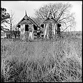 [48 Architectural Views from Yale School of Art Field Trip to Eastern Shore of Virginia], Walker Evans (American, St. Louis, Missouri 1903–1975 New Haven, Connecticut), Film negative