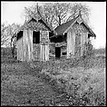 [48 Architectural Views from Yale School of Art Field Trip to Eastern Shore of Virginia], Walker Evans (American, St. Louis, Missouri 1903–1975 New Haven, Connecticut), Film negative