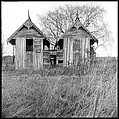 [48 Architectural Views from Yale School of Art Field Trip to Eastern Shore of Virginia], Walker Evans (American, St. Louis, Missouri 1903–1975 New Haven, Connecticut), Film negative