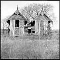 [48 Architectural Views from Yale School of Art Field Trip to Eastern Shore of Virginia], Walker Evans (American, St. Louis, Missouri 1903–1975 New Haven, Connecticut), Film negative