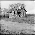 [48 Architectural Views from Yale School of Art Field Trip to Eastern Shore of Virginia], Walker Evans (American, St. Louis, Missouri 1903–1975 New Haven, Connecticut), Film negative