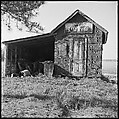 [12 Views of Shack with Coca-Cola Sign, from Yale School of Art Field Trip to Eastern Shore of Virginia], Walker Evans (American, St. Louis, Missouri 1903–1975 New Haven, Connecticut), Film negative