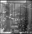 [18 Views of Cat and Fire Escapes, New York City], Walker Evans (American, St. Louis, Missouri 1903–1975 New Haven, Connecticut), Film negative