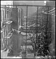 [18 Views of Cat and Fire Escapes, New York City], Walker Evans (American, St. Louis, Missouri 1903–1975 New Haven, Connecticut), Film negative