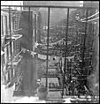 [18 Views of Cat and Fire Escapes, New York City], Walker Evans (American, St. Louis, Missouri 1903–1975 New Haven, Connecticut), Film negative