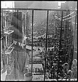 [18 Views of Cat and Fire Escapes, New York City], Walker Evans (American, St. Louis, Missouri 1903–1975 New Haven, Connecticut), Film negative