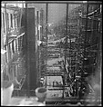 [18 Views of Cat and Fire Escapes, New York City], Walker Evans (American, St. Louis, Missouri 1903–1975 New Haven, Connecticut), Film negative