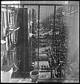 [18 Views of Cat and Fire Escapes, New York City], Walker Evans (American, St. Louis, Missouri 1903–1975 New Haven, Connecticut), Film negative