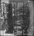 [18 Views of Cat and Fire Escapes, New York City], Walker Evans (American, St. Louis, Missouri 1903–1975 New Haven, Connecticut), Film negative