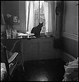 [18 Views of Cat and Fire Escapes, New York City], Walker Evans (American, St. Louis, Missouri 1903–1975 New Haven, Connecticut), Film negative