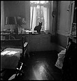 [18 Views of Cat and Fire Escapes, New York City], Walker Evans (American, St. Louis, Missouri 1903–1975 New Haven, Connecticut), Film negative