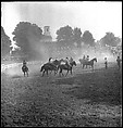 [30 Views of Horse Show], Walker Evans (American, St. Louis, Missouri 1903–1975 New Haven, Connecticut), Film negative