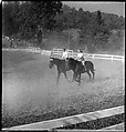 [30 Views of Horse Show], Walker Evans (American, St. Louis, Missouri 1903–1975 New Haven, Connecticut), Film negative