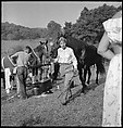 [30 Views of Horse Show], Walker Evans (American, St. Louis, Missouri 1903–1975 New Haven, Connecticut), Film negative