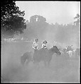 [30 Views of Horse Show], Walker Evans (American, St. Louis, Missouri 1903–1975 New Haven, Connecticut), Film negative