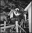 [30 Views of Horse Show], Walker Evans (American, St. Louis, Missouri 1903–1975 New Haven, Connecticut), Film negative